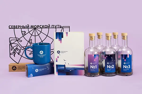 Волшебный новогодний кейс для Гидрографического предприятия